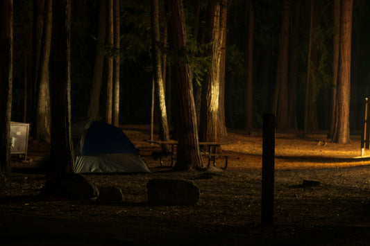 Nighttime campsite with a tent and picnic tables lit under tall pine trees in a quiet forest setting.