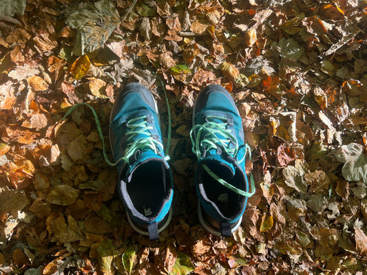 A pair of teal and black running shoes with untied laces placed on a forest floor covered in dry autumn leaves, lit by sunlight through trees.