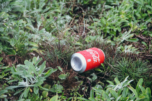 A discarded Coca-Cola can lying in green grass and wild plants, illustrating litter left behind in nature.