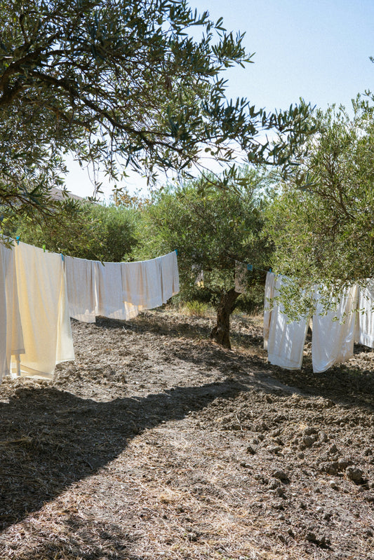 Clothes hanging to dry on a line strung between trees in a sunny, dry outdoor area, with shadows cast on the ground.